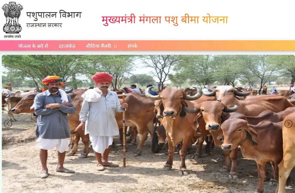 Mukhyamantri Mangla Pashu Bima Yojana
Rajasthan Mangla Pashu Bima
मुख्यमंत्री मंगला पशु बीमा योजना