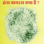 hantavirus kya hai