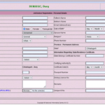 Chhattisgarh Berojgari Bhatta Form CG Berojgari Bhatta