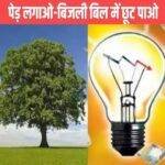 Jharkhand Ped Lagao Bijli Bill Me Chhut Pao Scheme झारखंड पेड़ लगाओ बिजली बिल में छूट पाओ योजना