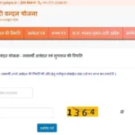 Mahtari Vandan Form Status Check CG Mahtari Vandan Yojana Beneficiary Application Status