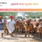 Mukhyamantri Mangla Pashu Bima Yojana Rajasthan Mangla Pashu Bima मुख्यमंत्री मंगला पशु बीमा योजना