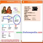 Lado Laxmi Yojana Status Check Deen Dayal Lado Laxmi Yojana Status DDLLY Status Check लाडो लक्ष्मी योजना स्टेटस चेक